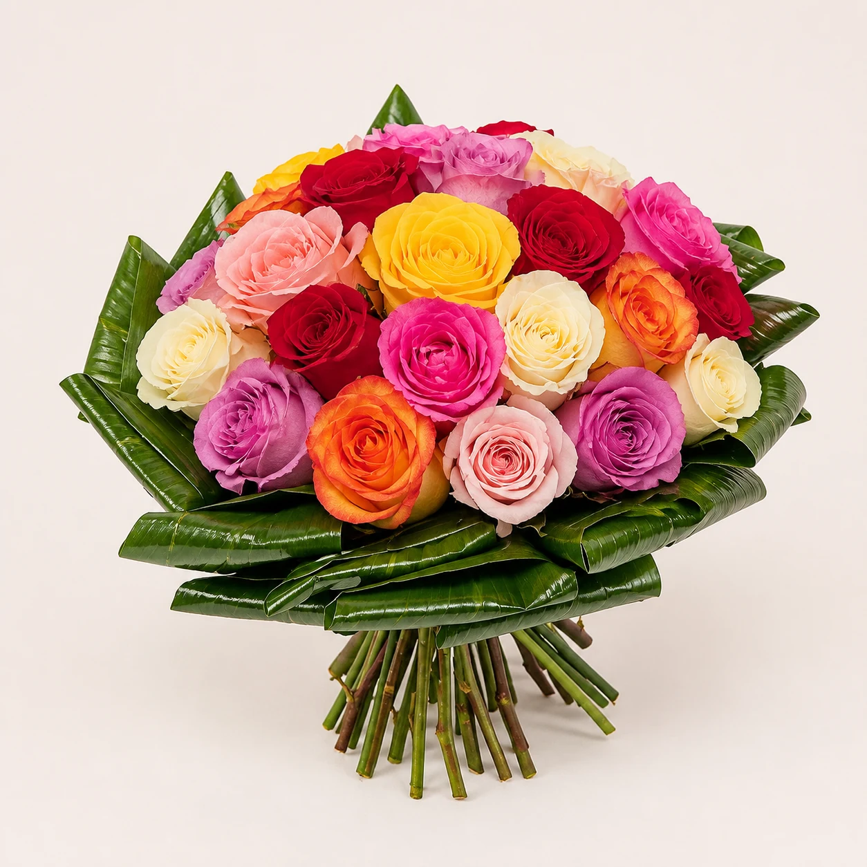 Passion colorful roses